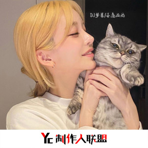 ดาวน์โหลดและฟังเพลง 难以启齿的柔弱 (车载版) พร้อมเนื้อเพลงจาก DJ梦菲
