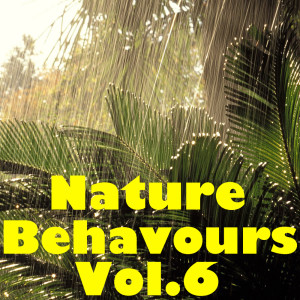Listen to Paradise Blossom song with lyrics from Tai Chi