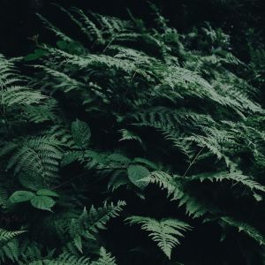 Dengarkan Summer Memories lagu dari Deep Sleep dengan lirik