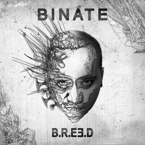 ดาวน์โหลดและฟังเพลง Stuck in a Dream พร้อมเนื้อเพลงจาก B.R.E.E.D