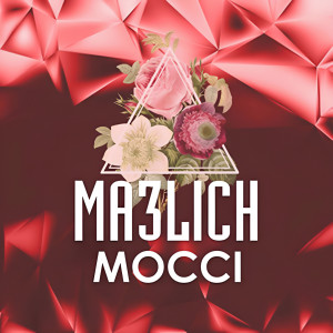 Listen to Ma3lich song with lyrics from Mocci