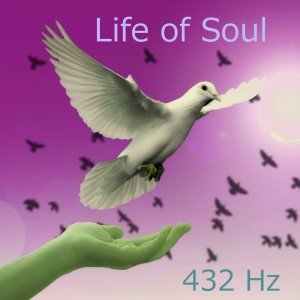 Dengarkan Supererogation lagu dari 432 Hz dengan lirik