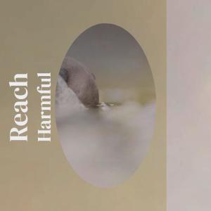 收听Cheb Cona的Reach Harmful歌词歌曲
