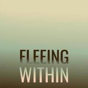 อัลบัม Fleeing Within ศิลปิน Various