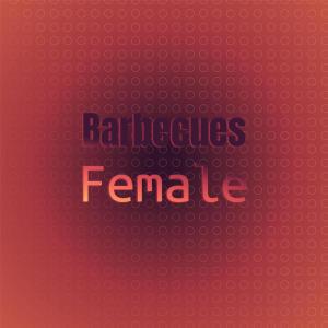 收聽Arry Maen的Barbecues Female歌詞歌曲