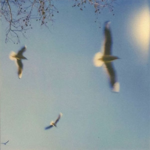 收聽Hizashi的Before You're Gone歌詞歌曲