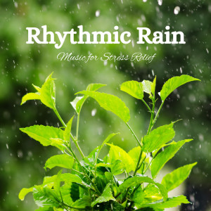 Music from the Firmament的专辑Rhythmic Rain: Music for Stress Relief