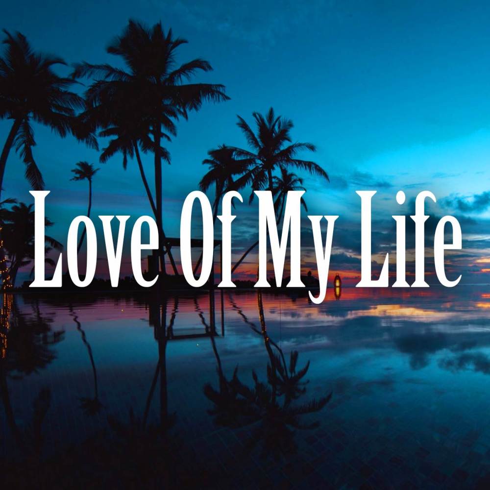 Love Of My Life (Cover)