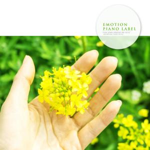 Listen to A Clear Spring Stream song with lyrics from Ha Seongjun