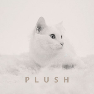 Album Plush (Explicit) oleh SHIFT