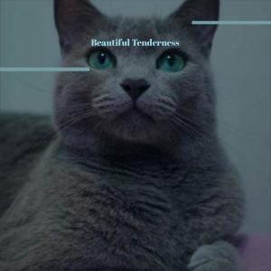 Album Beautiful Tenderness from 