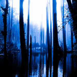 收聽ZKIOKU的Tkieroknmigo歌詞歌曲