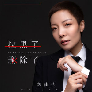 Listen to 拉黑了删除了 (DJ可乐版) song with lyrics from 魏佳艺