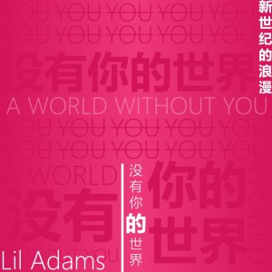Album 没有你的世界 from Lil Adams