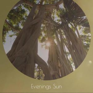 Album Evenings Sun oleh Various