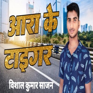 Listen to Aara Ke Tiger song with lyrics from Vishal Kumar Sajan