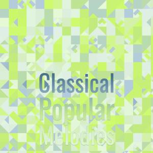 ดาวน์โหลดและฟังเพลง Carrousel Course พร้อมเนื้อเพลงจาก Yana Aard