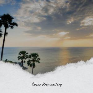 Listen to Cesar Premonitory song with lyrics from Silip Hetler