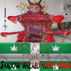 อัลบัม 5K1NW4LK3R (Explicit) ศิลปิน Shadow Wizard Money Gang