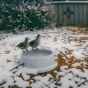 default playlist img