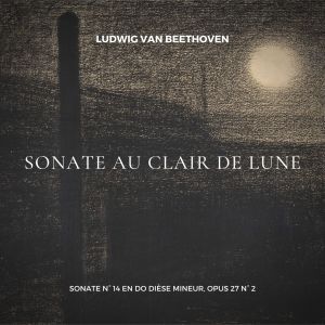 Listen to Sonate in C-Sharp Minor, Op. 27, 2: I. Adagio sostenuto song with lyrics from Pierre Henri Martinot