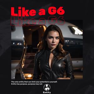 Album Like A G6 from 