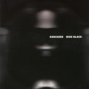 ดาวน์โหลดและฟังเพลง You Can Lose It พร้อมเนื้อเพลงจาก Geniuser