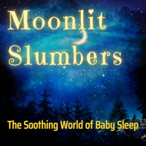 อัลบัม Moonlit Slumbers: The Soothing World of Baby Sleep ศิลปิน Sleep Soothing Waves