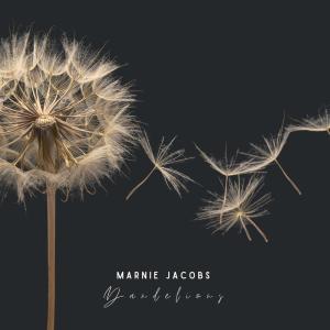 Album Dandelions from Marnie Jacobs