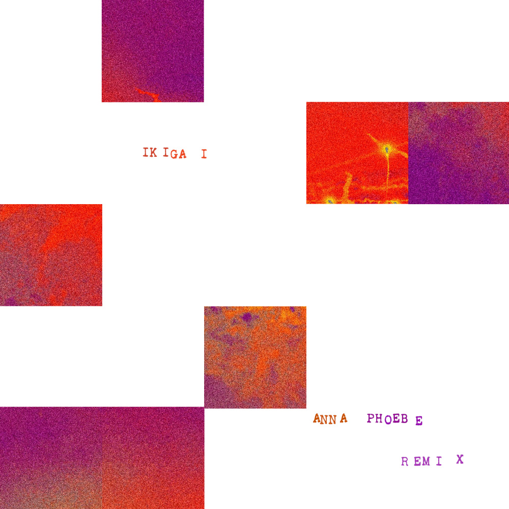 Ikigai (Anna Phoebe Remix)