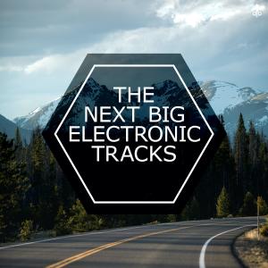 Album The Next Big Electronic Tracks oleh Various