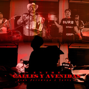 Listen to Entre Calles Y Avenidas song with lyrics from Alan Escoboza