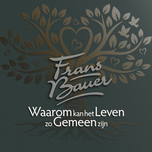 收聽Frans Bauer的Waarom Kan Het Leven Zo Gemeen Zijn歌詞歌曲