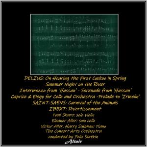 ดาวน์โหลดและฟังเพลง Concerto for Violin, Cello and Orchestra, Rt VII/5: Caprice for Cello and Orchestra (Live) พร้อมเนื้อเพลงจาก The Concert Arts Orchestra