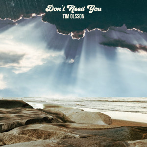 Listen to Don't Need You song with lyrics from Tim Olsson