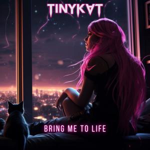 TINYKVT的專輯Bring Me To Life