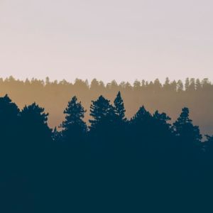 Dengarkan Bliss in Mind lagu dari Relaxing Sleep Music dengan lirik