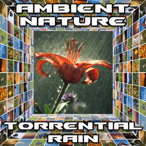 Listen to Torrential Rain (Original) song with lyrics from Ambient Nature