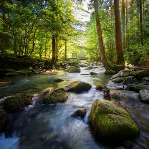 ดาวน์โหลดและฟังเพลง Surrendering To The Moment พร้อมเนื้อเพลงจาก Perfect Relaxing Music