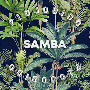 收聽Flojodido的Samba歌詞歌曲