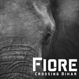 收听Fiore的Crossing Bihar歌词歌曲