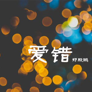 鄭殿鵬的專輯愛錯