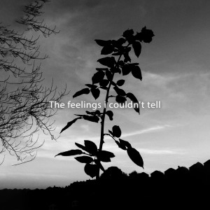 ดาวน์โหลดและฟังเพลง Can't Help Falling In Love พร้อมเนื้อเพลงจาก Gustixa