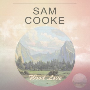 ดาวน์โหลดและฟังเพลง Little Things You Do พร้อมเนื้อเพลงจาก Sam Cooke