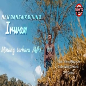 Album Nan Bansaik Dihino oleh IRWAN