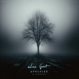 Listen to Apologize (Acoustic) song with lyrics from Alex Goot