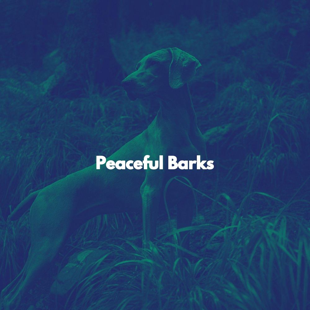 Fabulous Moods for Creative Moods