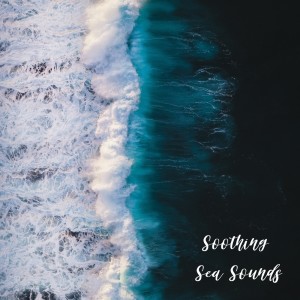 อัลบัม Soothing Sea Sounds ศิลปิน Wave Sound Group
