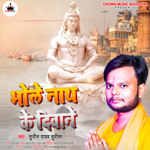 收听Sunil Yadav Surila的Bhole Nath Ke Diwane歌词歌曲