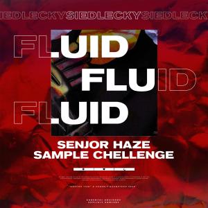 Listen to Fluid song with lyrics from Siedlecky